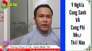 Giải Nghĩa Cung Sanh Và Cung Phi Khác Nhau Thế Nào [upl. by Orva]