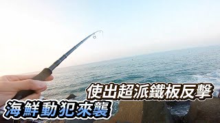 海鮮動犯來襲使出超派鐵板反擊｜旅竿岸拋米諾路亞海鱸竿shorejigging [upl. by Letty]