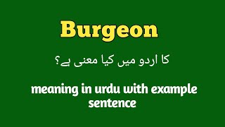 Burgeon meaning in Urdu  English  Hindi  Burgeon with sentence example How to pronounce burgeon [upl. by Africa]