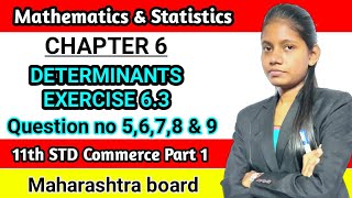 Determinants exercise 63 std 11th  Commerce maths part 1  class 11 Maharashtra board [upl. by Anaul114]