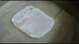 Flat Sheet Membrane Fabrication Polysulfone PS Membrane Casting Using Rod [upl. by Iyre]