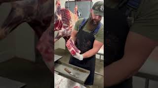 Comparing Bison VS Elk Porterhouse Steaks 🥩🔪 Coming soon to our YouTube channel shorts steak [upl. by Pontus]