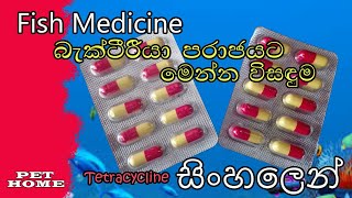 බැක්ටීරියාවට Tetracycline FishMedicine Pethome [upl. by Cristobal]