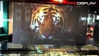 Pro Display Ultra Black Rear Projection Film screen at Elevators offices [upl. by Ehsrop]