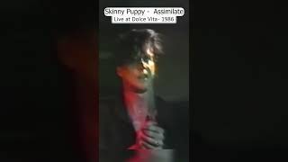 80s Skinny Puppy  Assimilate live at Dolce Vita 1986 goth specialeffects [upl. by Chappell]