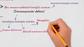 Anemia ClassificationEtiologicalMorphologicalHemolytic [upl. by Anaeirb]