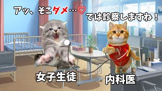 内科検診のときの女子の本音が想像以上にヤバすぎる【猫ミーム】【猫マニ】 [upl. by Hornstein]