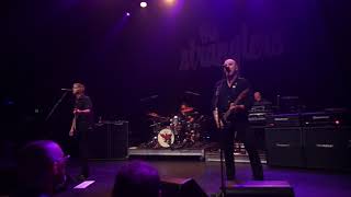 The Stranglers  Walk On By  Melbourne Forum Theatre [upl. by Anailuj]