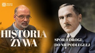 Spór o drogi do Niepodległej wybuch I wojny światowej i nowa polityka Rosji  HISTORIA ŻYWA [upl. by Ardnuahc]