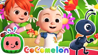 Ants Go Marching Dance  Dance Party  CoComelon Nursery Rhymes amp Kids Songs [upl. by Netta]