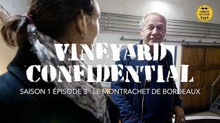 VINEYARD CONFIDENTIAL S1Ep3  « Le Montrachet de Bordeaux » avec Stéphane Derenoncourt [upl. by Marylee]