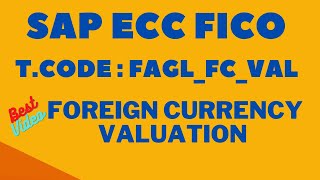 Foreign Currency Valuation FAGLFCVAL Foreign Currency Document SAP Certification  SAP Training [upl. by Anyk]