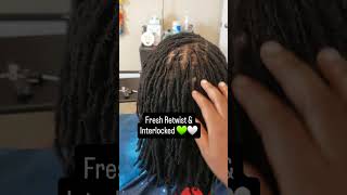 DREADS  Fresh Retwist amp Interlocked 💚🤍 [upl. by Katusha185]