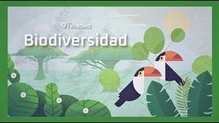 BIODIVERSIDAD ¿Cómo y por qué cuidarla 🌳🦜️🌎  EnTrending [upl. by Valentina]