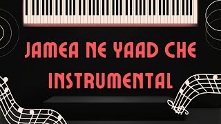 Jamea Ne Yaad Che  Instrumental [upl. by Uaerraj]