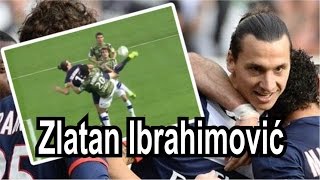 Zlatan Ibrahimovic crazy taekwondo goals [upl. by Dimond]