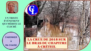 Créteil linondation de janvier 2018 sur le Bras du Chapitre [upl. by Adriana]