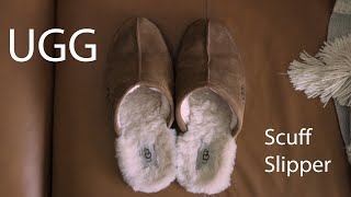 UGG Scuff Slipper  My most used shoe Worth it [upl. by Ahtoelc215]