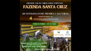 LEILÃO ESPECIAL  FAZENDA SANTA CRUZ  MARIPÁ DE MINAS  MG🐄 [upl. by Lipinski]