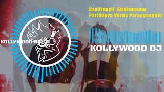 Kavilinayil Kunkumamo Malayalam DJ Remix ¦ Malayalam Dj Remix ¦ Dj Remix Song Malayalam [upl. by Jorin238]