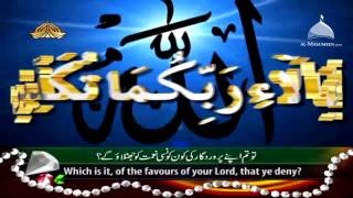 Surah Rahman  Beautiful and Heart trembling Quran recitation by Syed Sadaqat Ali [upl. by Jae]