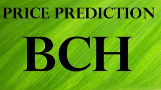 BCH Price Prediction Bitcoin [upl. by Adnovad]