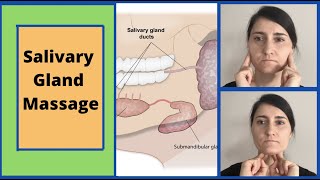 Salivary Gland Massage  Parotid and Submandibular [upl. by Luane]