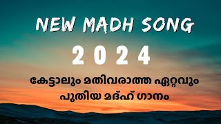 New Nabidina song 2024  with lyrics  madhsong viral [upl. by Rengia]