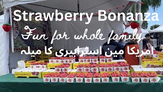 Strawberry Festival Memorial Day weekend امریکا مین اسٹرابیری کا میلہ [upl. by Aelam]