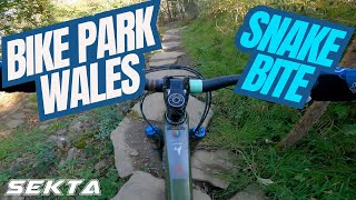 BIKE PARK WALES MTB💥Snakebite BPW Nukeproof Mega [upl. by Sumer]