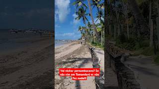 Uma das melhores praias do nordeste passeio pernambuco igrejinha Tamandaré turismo viajar pop [upl. by Mosera]