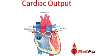 Cardiac Output  Cardiac Physiology [upl. by Arne]