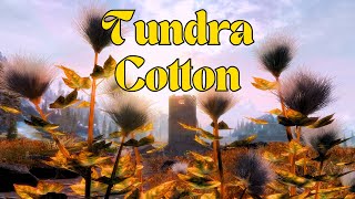 Skyrim Alchemy Secrets Master Tundra Cotton for Powerful Potions amp Gear  Foraging Fauna amp Flora 3 [upl. by Aesoh]