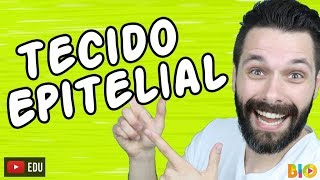 TECIDO EPITELIAL  HISTOLOGIA  Aula  Biologia com Samuel Cunha [upl. by Isdnyl]