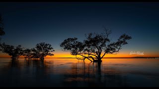 CATCHING A GLIMPS OF ETERINTY  NUDGEE BEACH  sunrise earlymorning punjabiinspirebynature [upl. by Timus]