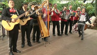 Kapelle Oberalp amp Los Mariachis  La Adelita [upl. by Tye]