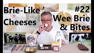 BrieLike Cheeses 22  Wee Brie Bites amp Spreadables [upl. by Nnylsor]