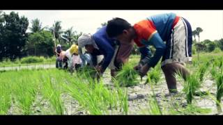 Usapang Magsasaka 2014 Pagpaparami ng Purong Binhi [upl. by Domella86]