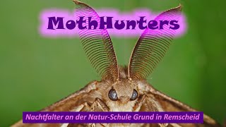 Nachtfalter in Remscheid  an der NaturSchule Grund im August [upl. by Malka]