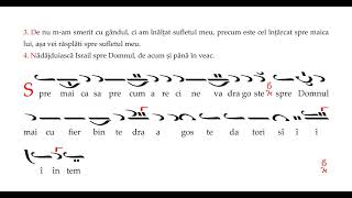 Treptele Antifoanelor Prochimen Gl4 de Macarie Ieromonahul [upl. by Elleryt]