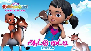 Tamil Kids Song  ஆட்டு குட்டி பாடல் சுட்டி கண்ணம்மா  Aattu Kutty Song Chutty Kannamma Tamil Rhymes [upl. by Shermie758]