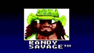 wwf super wrestlemania  randy savage theme [upl. by Shiroma]