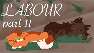 🌹Labour🌹pt11  A SheCats MAP for zjnoodlecrisp [upl. by Bowne955]