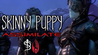 quotAssimilatequot by SKINNY PUPPY  Star Trek quotThe Borgquot Music Video [upl. by Stephanus392]