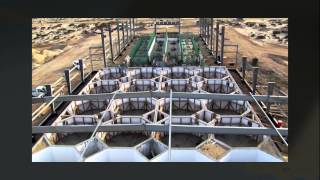 The Best Recirculating Aquaculture Systems In The World [upl. by Ayhdnas]