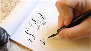 The Letter S  Basic Calligraphy Tutorial [upl. by Aldwin]