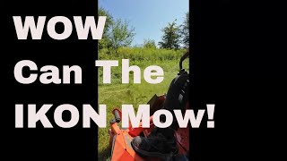 2023 Ariens IKON Mowing Tall Grass [upl. by Oeniri]