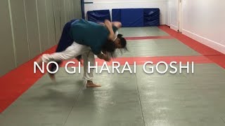 No Gi Judo throw Harai goshi [upl. by Jahdai248]