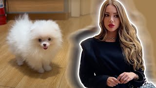 The Life Of Otilia  Shopping with Fluffy🐶🛍😍 [upl. by Sachi773]