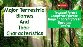 Major Terrestrial Biomes And Their Characteristics [upl. by Rotsen719]